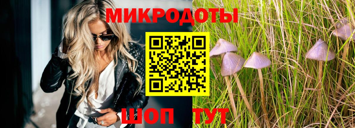 Псилоцибиновые грибы Psilocybe Каменск-Шахтинский