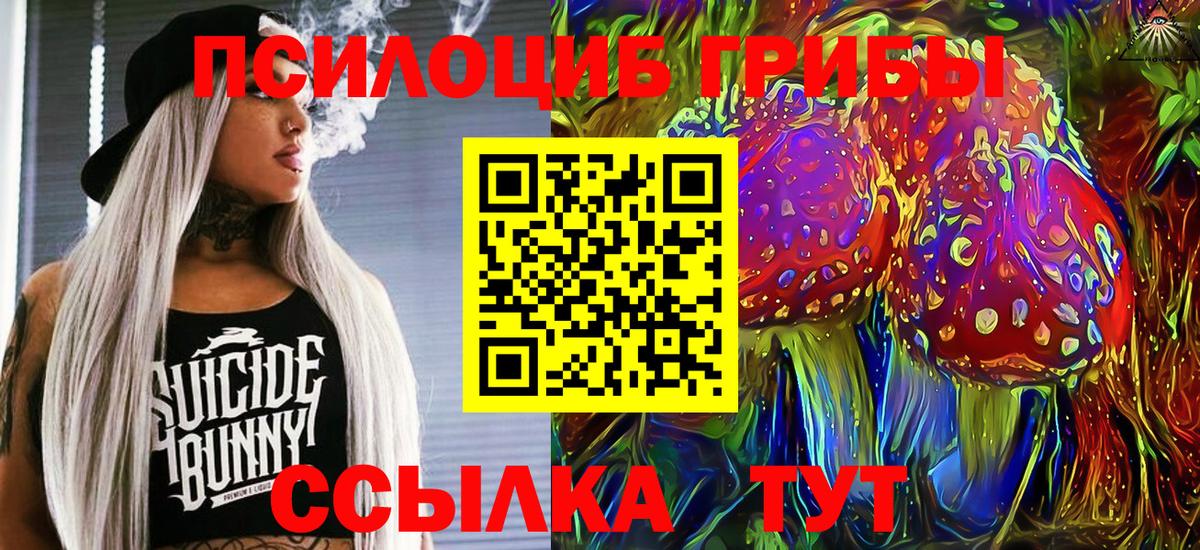 Каменск-Шахтинский  Галлюциногенные грибы мицелий  Вход с VPN 